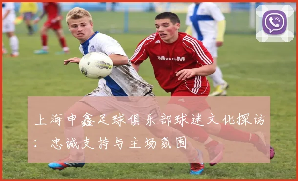 上海申鑫足球俱乐部球迷文化探访：忠诚支持与主场氛围