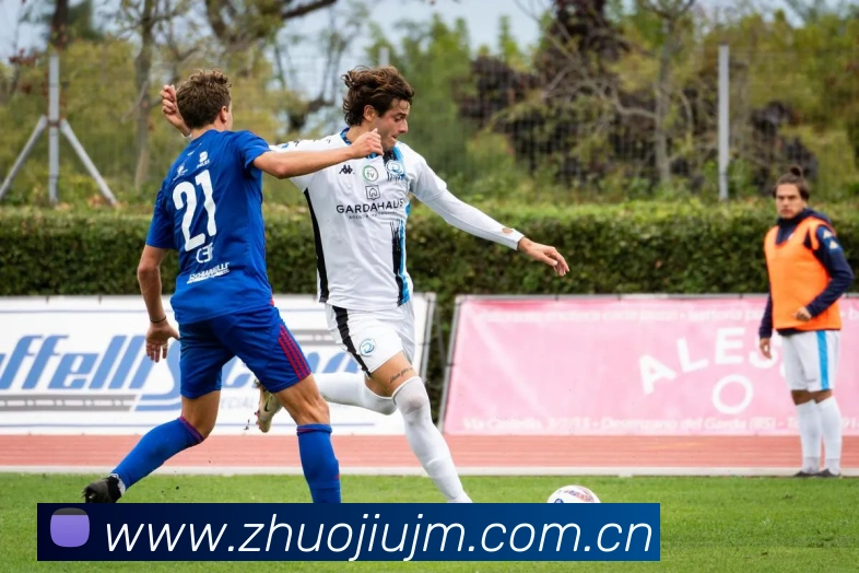 九游j9官方平台发展历程